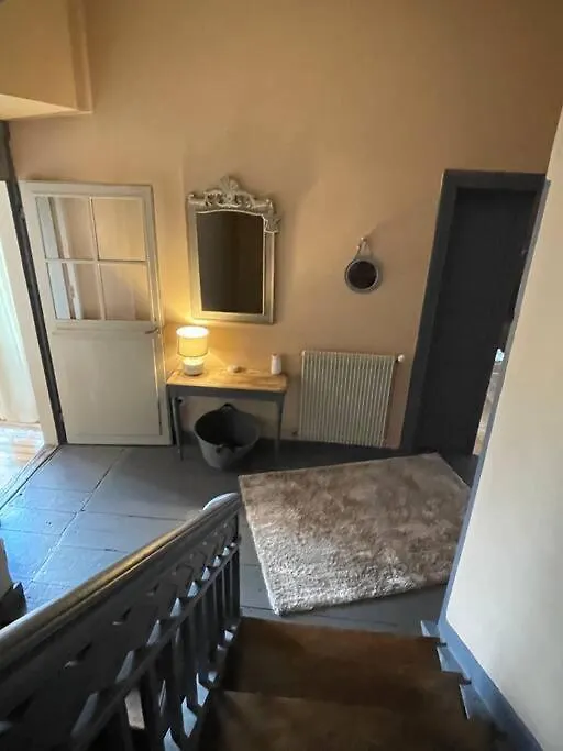 Superbe Gite 8/16 Personnes, Saint Lary Vielle-Aure Holiday home